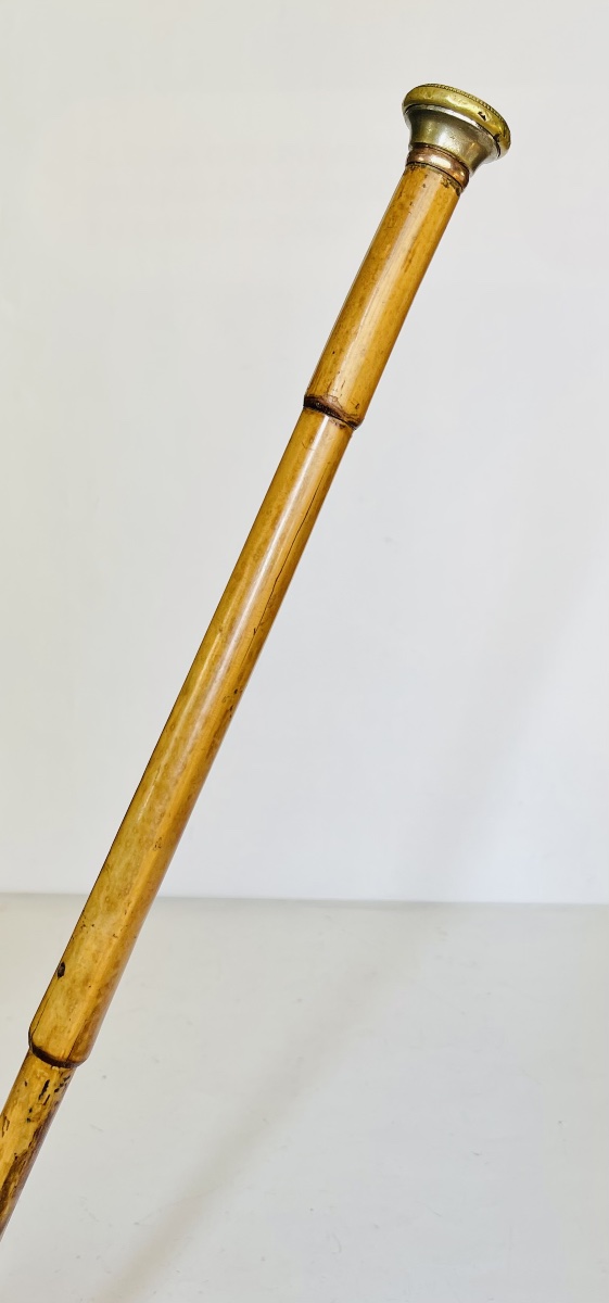 Canne fusil sarbacane -photo-3
